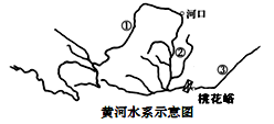 图片_x0020_100020