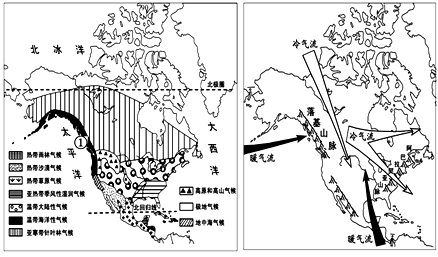 图片_x0020_1010062894