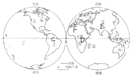 图片_x0020_556385051