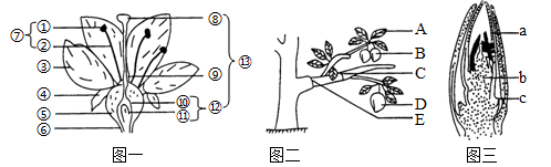 图片_x0020_789055699