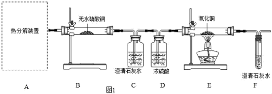 图片_x0020_1806207943