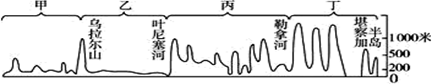 图片_x0020_100013