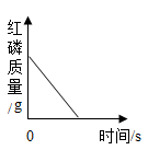图片_x0020_1062006339