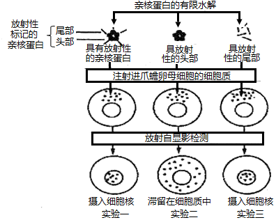 图片_x0020_398115065