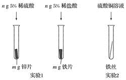 图片_x0020_914709050