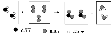 图片_x0020_1130771570
