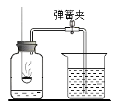 图片_x0020_2002338925
