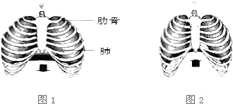 图片_x0020_231562646