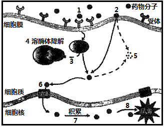 图片_x0020_1452112338