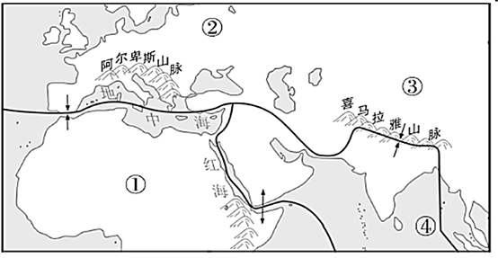 图片_x0020_1029368021